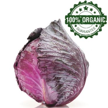 Organic Red Cabbage, 1Kg